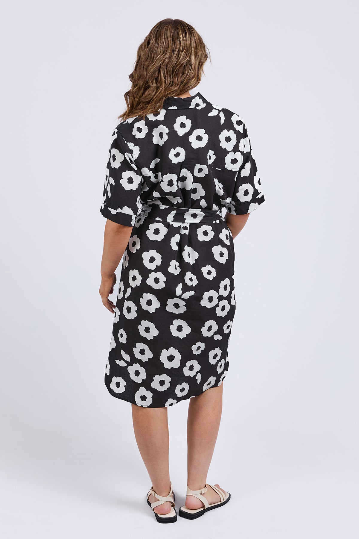 8168001.NAVY_3_1751513769000