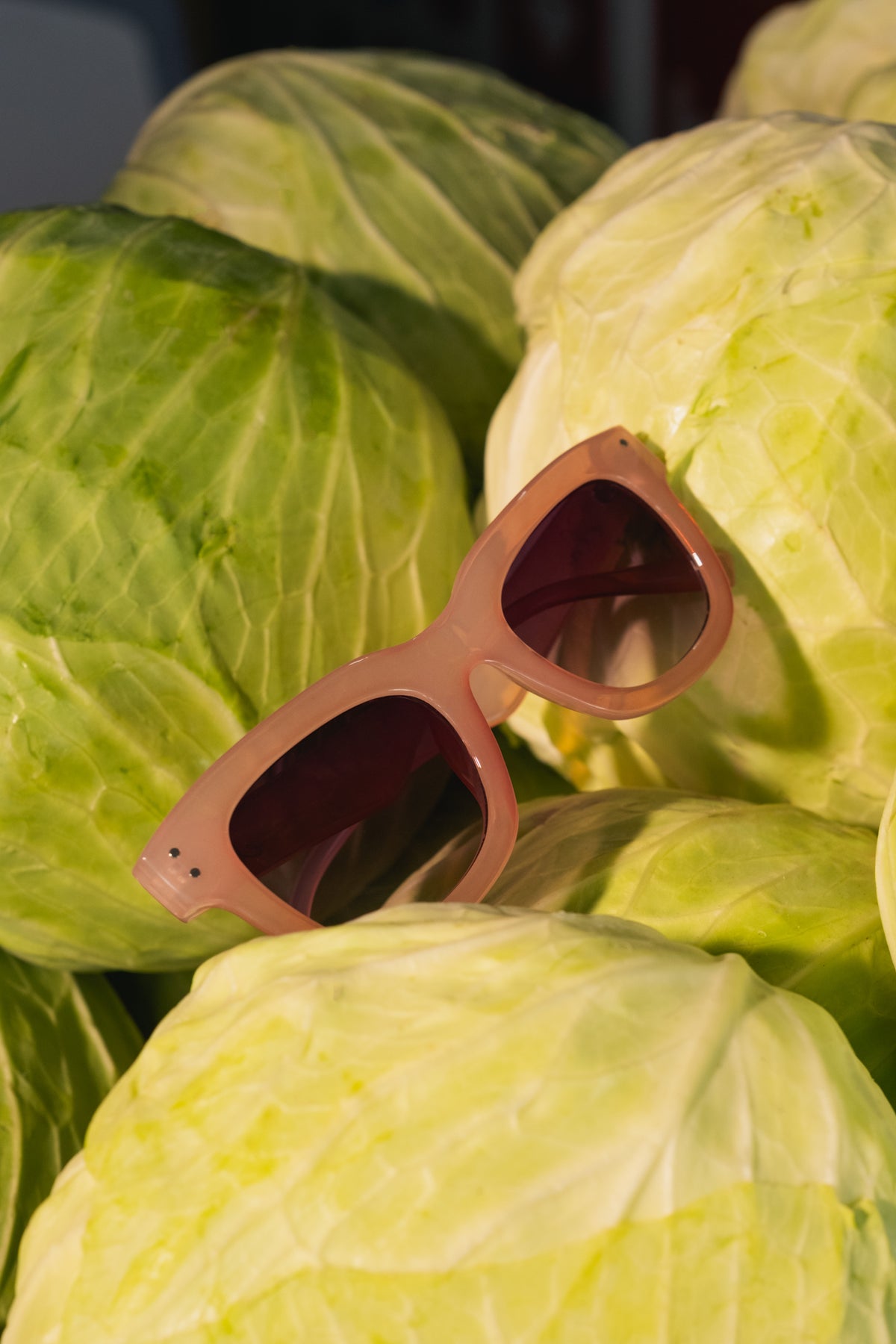 Sundays Sunglasses Beige Demi Tort