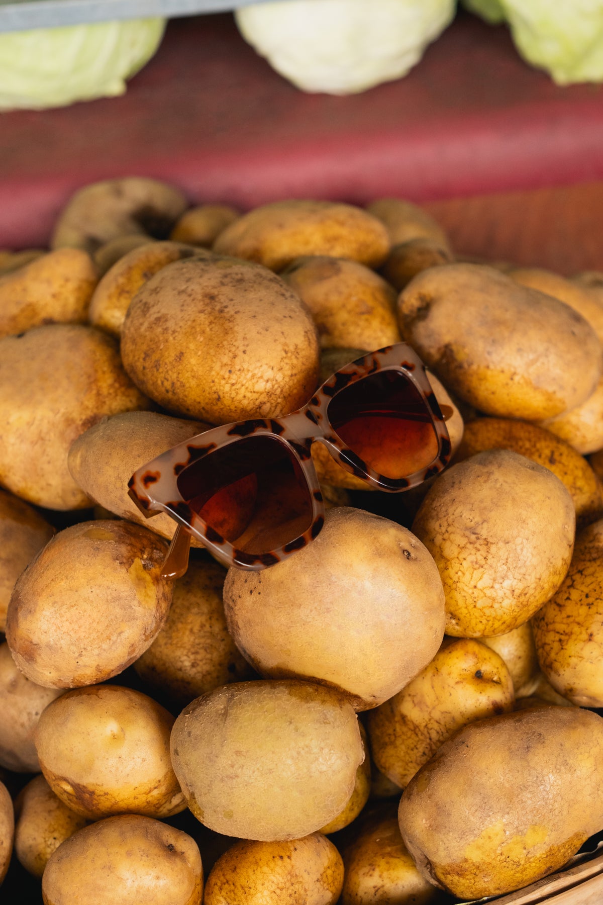 Goldie Sunglasses Honey Tortoishell